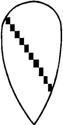 The coat of arms of William Fitz Ansculf